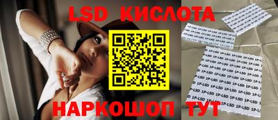 молекула духа Можга